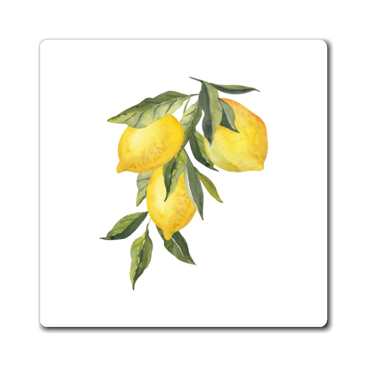 Lemon Magnet